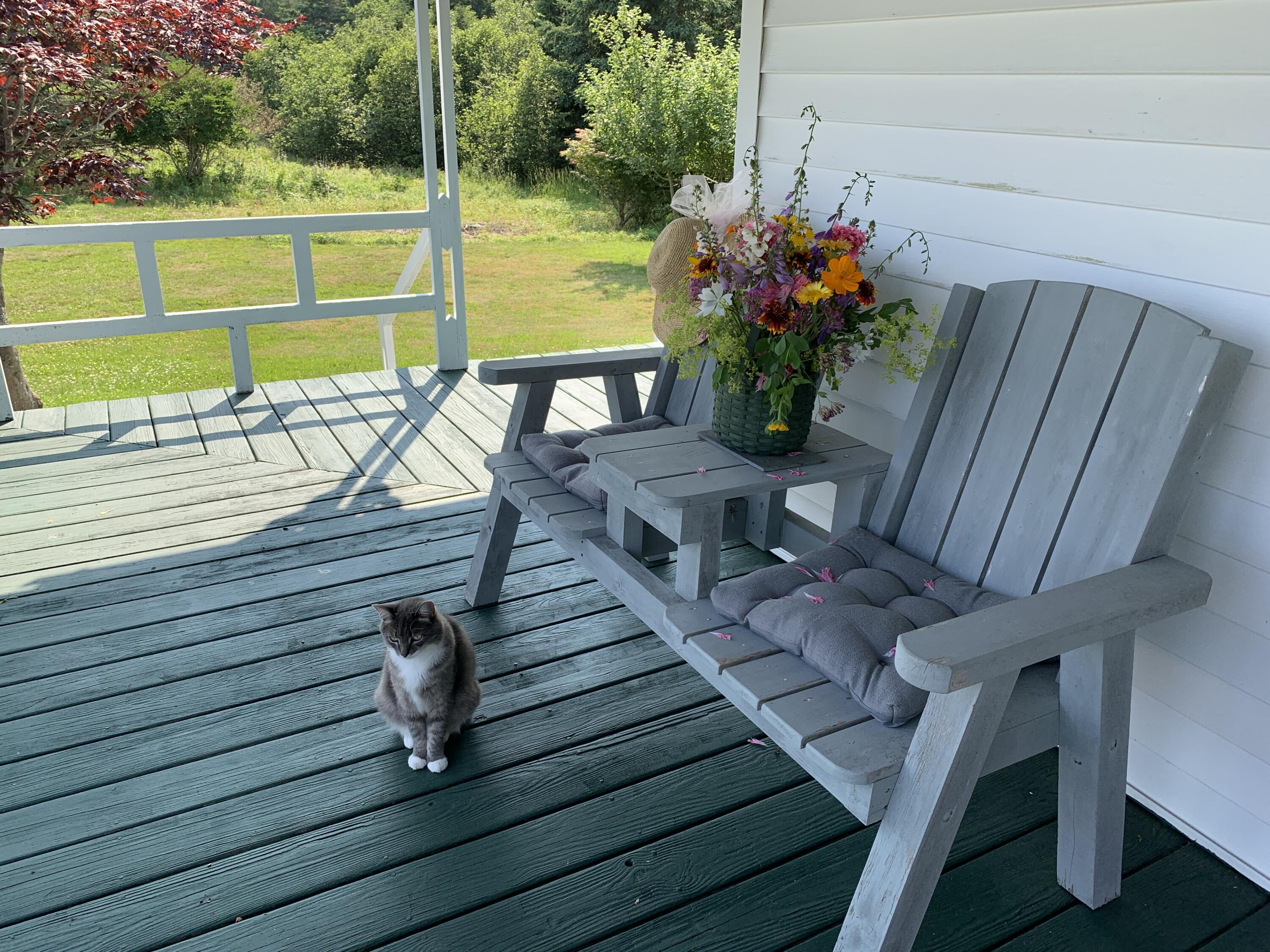 30 Dog Point Road Cranberry Isles, ME 04625 - Photo 12 of 14 Enjoy the day on your porch