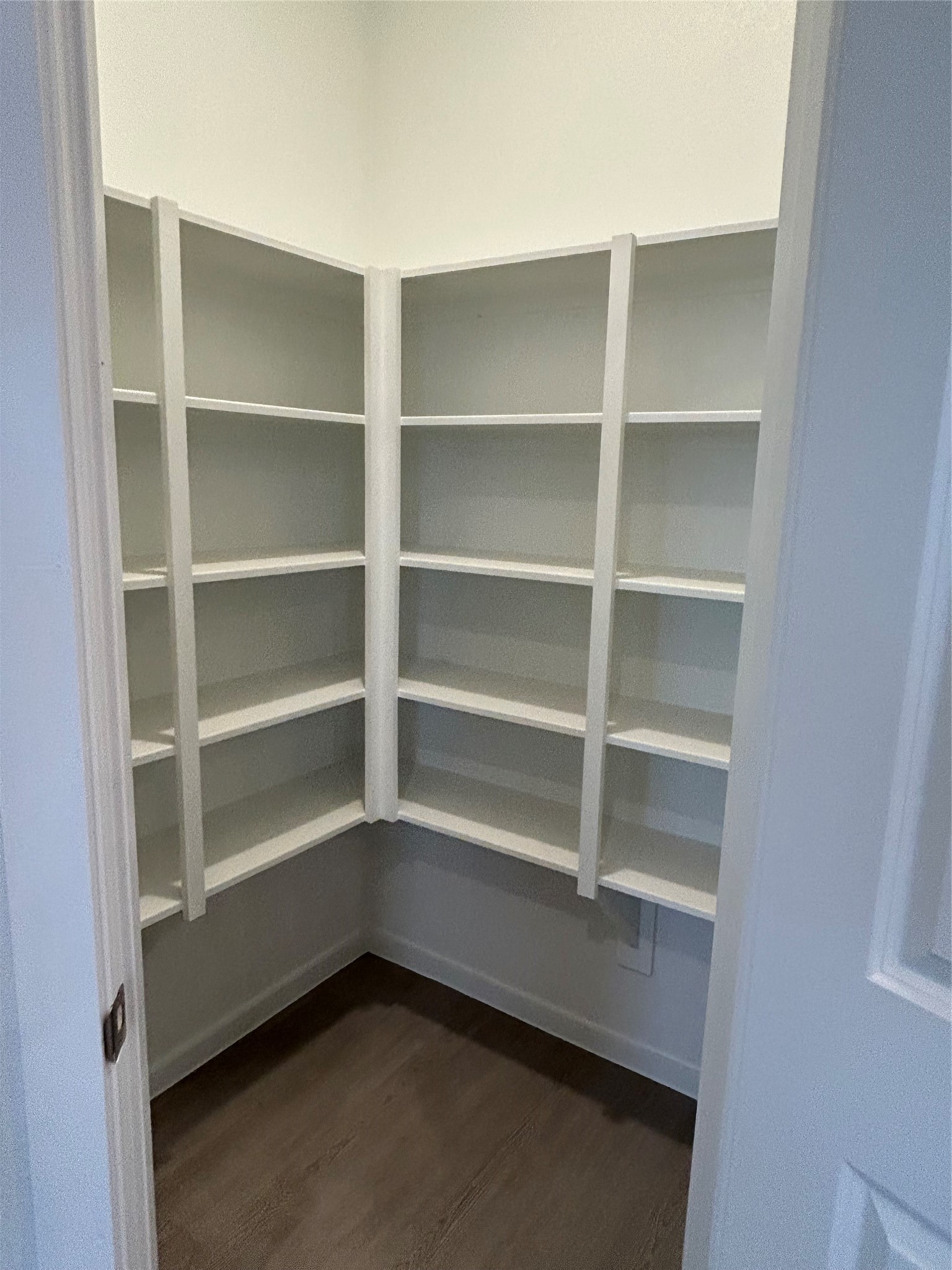 26419 Virginia Wild Rye Lane Katy, TX 77493 - Photo 15 of 31 This photo shows a small, well-organized pantry with white shelves on two walls, offering ample storage space. The room has a clean, minimalist design and a hardwood floor.