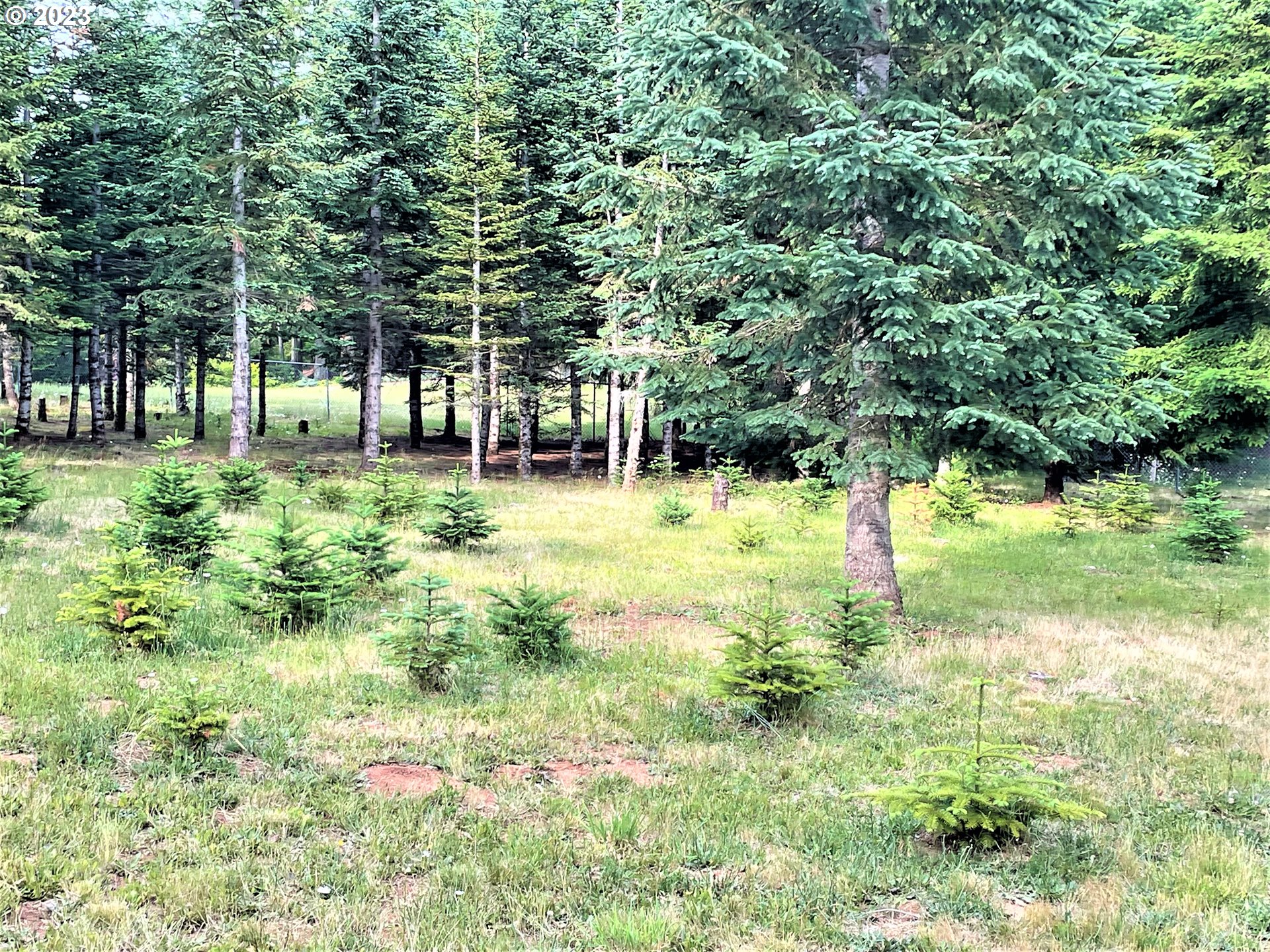 39420 Southeast Allgeier Road Sandy, OR 97055 - Photo 32 of 40 Gallery Image 32