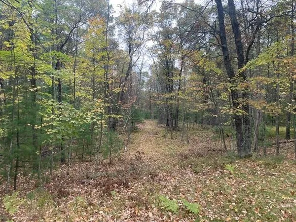 $325,000 | W9808 Trout Haven Road, Dunbar, WI 54119