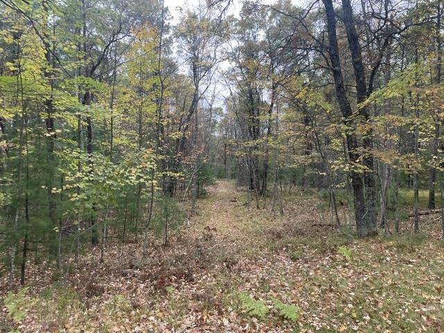 W9808 Trout Haven Road Dunbar, WI 54119 - Photo 13 of 25
