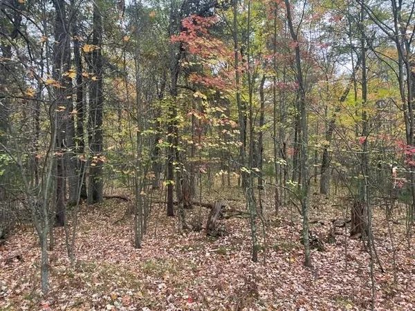 $325,000 | W9808 Trout Haven Road, Dunbar, WI 54119