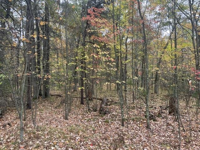 W9808 Trout Haven Road Dunbar, WI 54119 - Photo 17 of 25