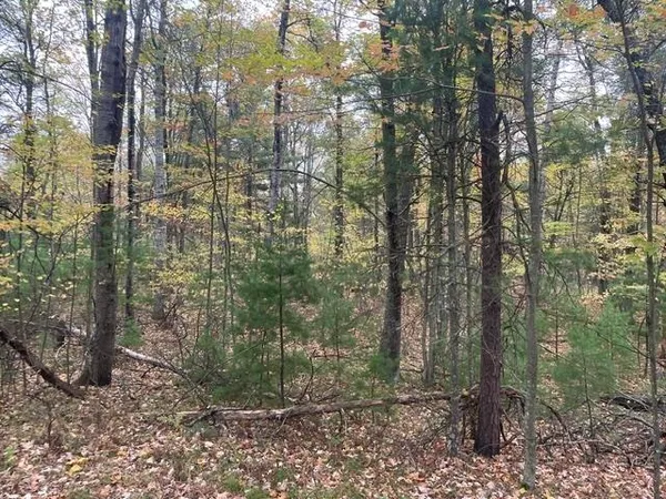 $325,000 | W9808 Trout Haven Road, Dunbar, WI 54119