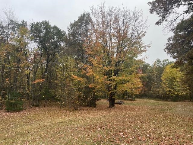 W9808 Trout Haven Road Dunbar, WI 54119 - Photo 22 of 25