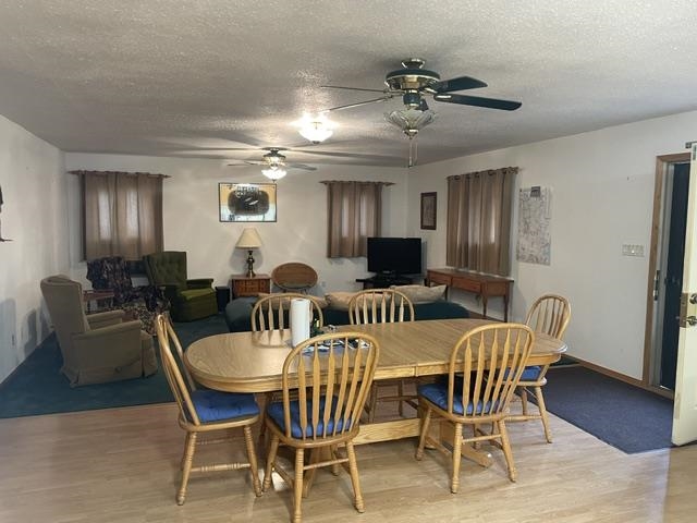 W9808 Trout Haven Road Dunbar, WI 54119 - Photo 5 of 25