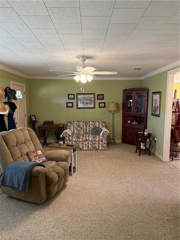 48452 Sibley Road Tickfaw, LA 70466 - Photo 3 of 21