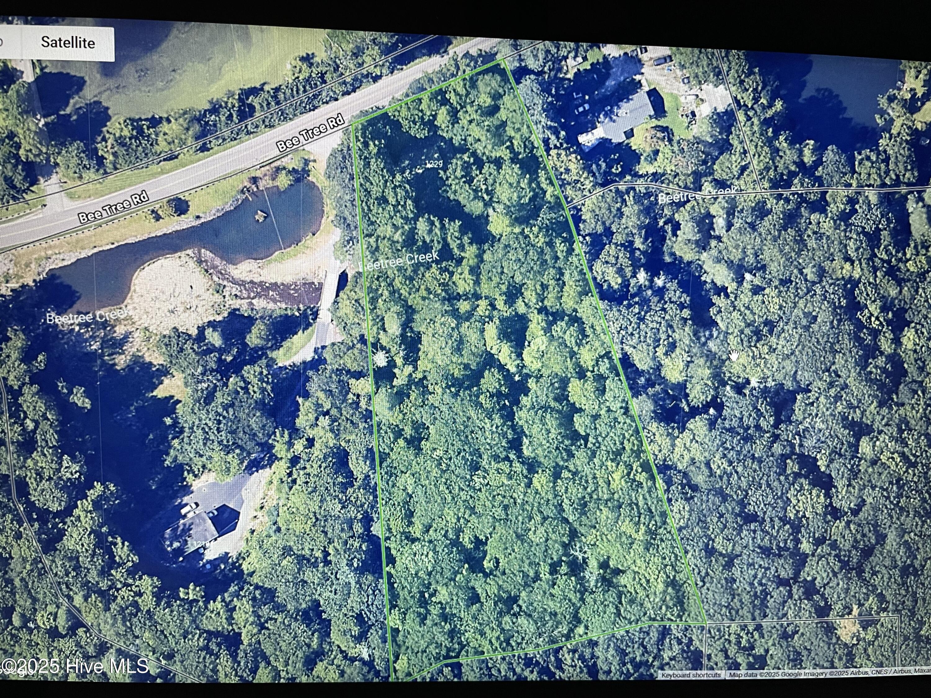 1229 Bee Tree Road Swannanoa, NC 28778 - Photo 3 of 6 1229 Ariel