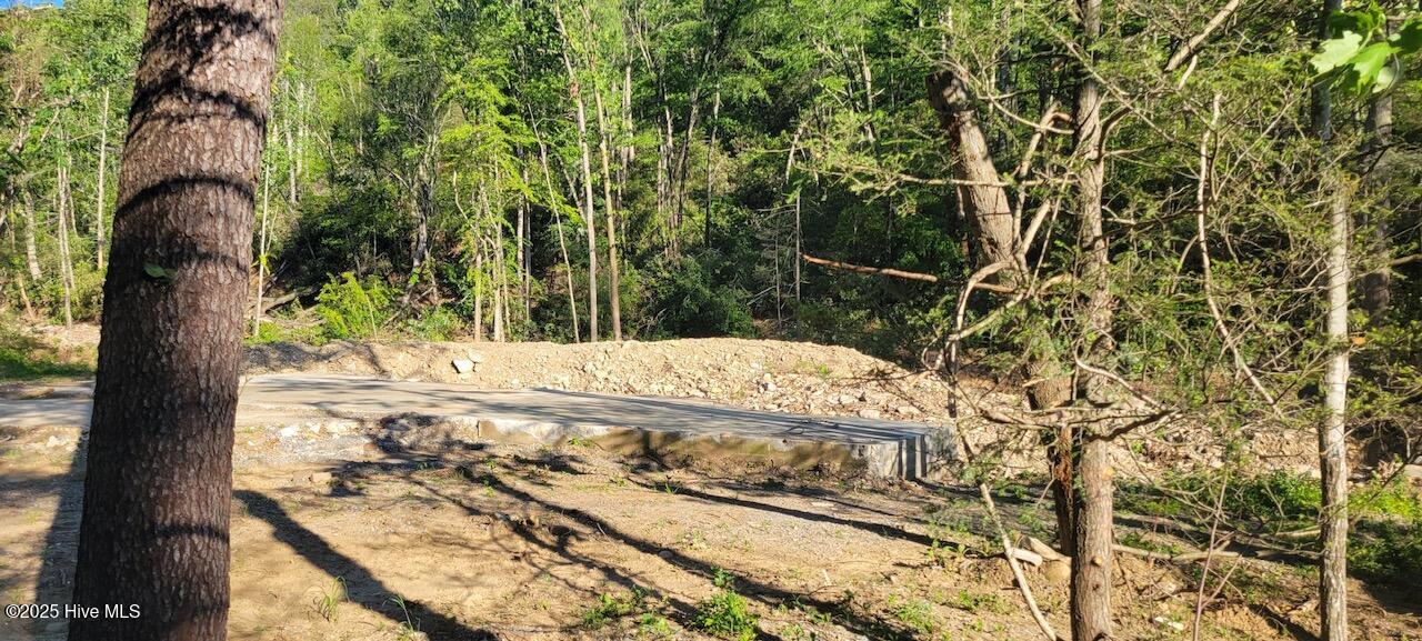 1229 Bee Tree Road Swannanoa, NC 28778 - Photo 4 of 6 1229 partial slab view