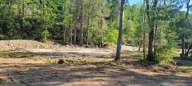 $89,000 | 1229 Bee Tree Road, Swannanoa, NC 28778