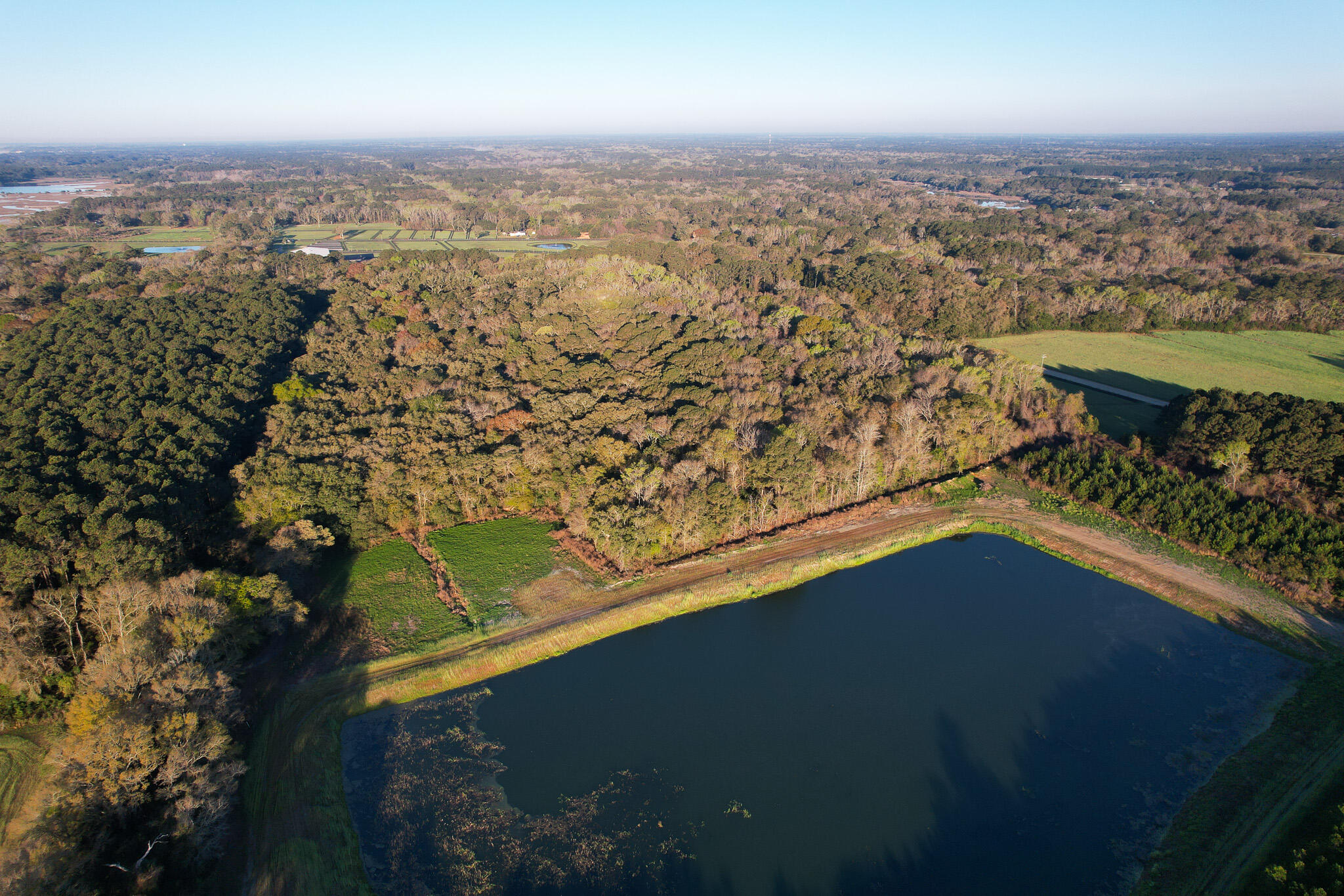 3170 Contentment Hall Road Johns Island, SC 29455 - Photo 19 of 34 DJI_0112