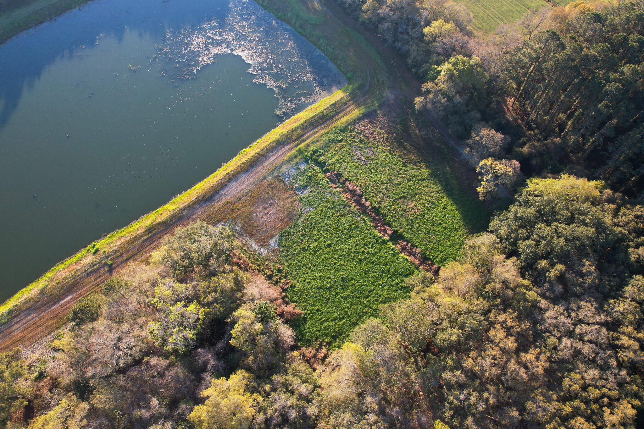 3170 Contentment Hall Road Johns Island, SC 29455 - Photo 2 of 34 DJI_0122