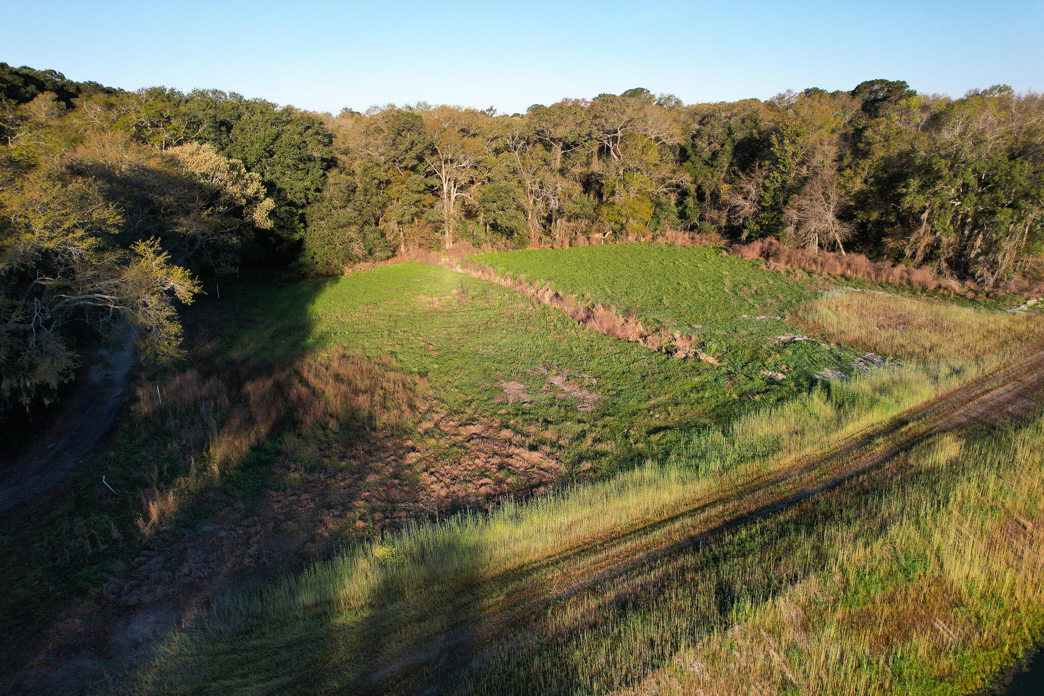 3170 Contentment Hall Road Johns Island, SC 29455 - Photo 23 of 34 DJI_0125