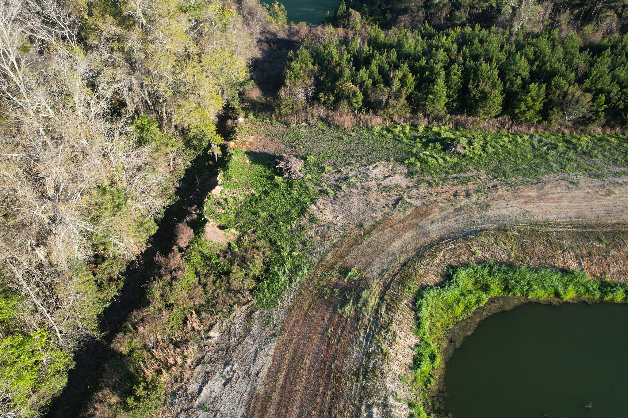 3170 Contentment Hall Road Johns Island, SC 29455 - Photo 25 of 34 DJI_0131