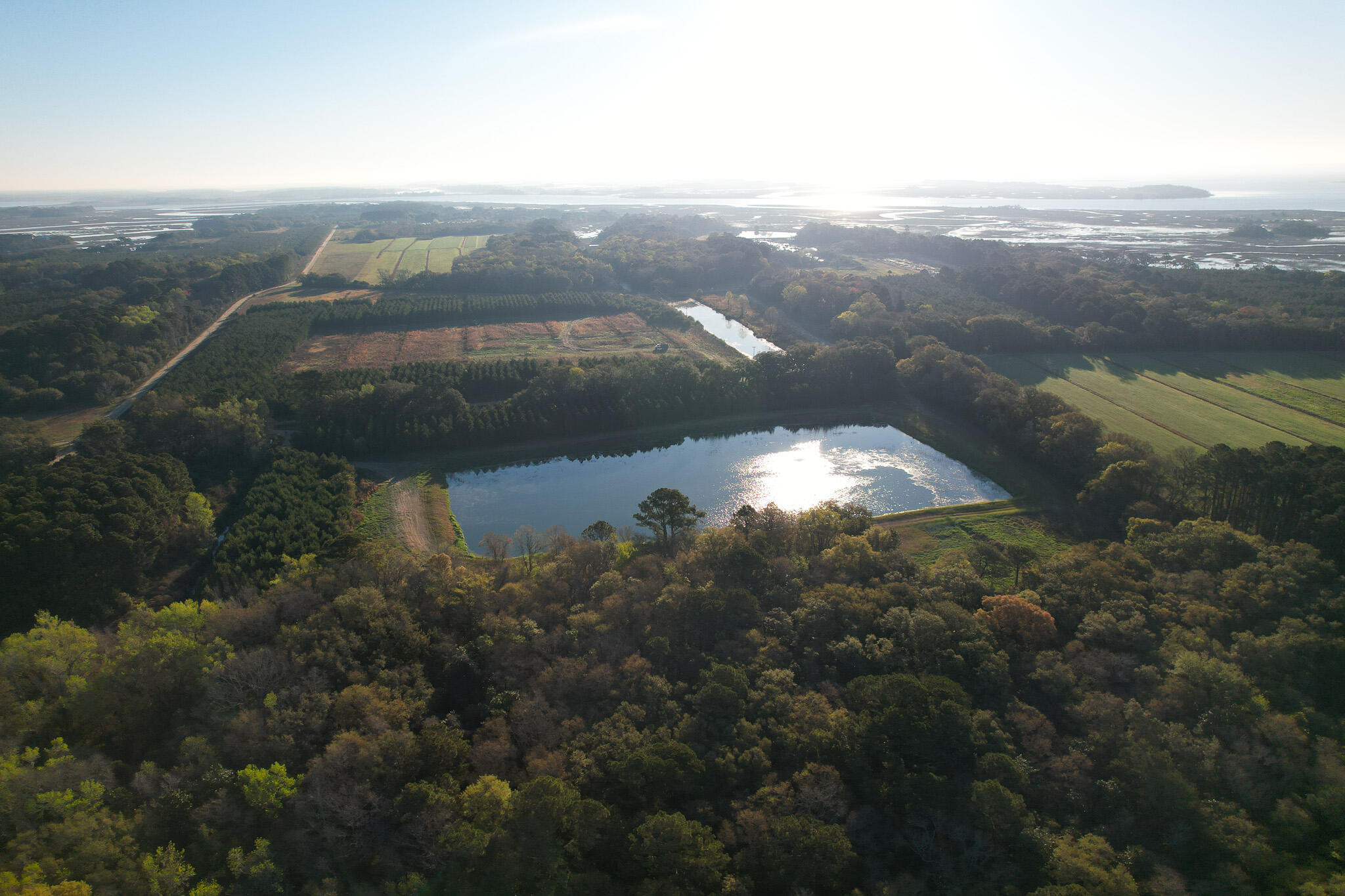 3170 Contentment Hall Road Johns Island, SC 29455 - Photo 3 of 34 DJI_0119