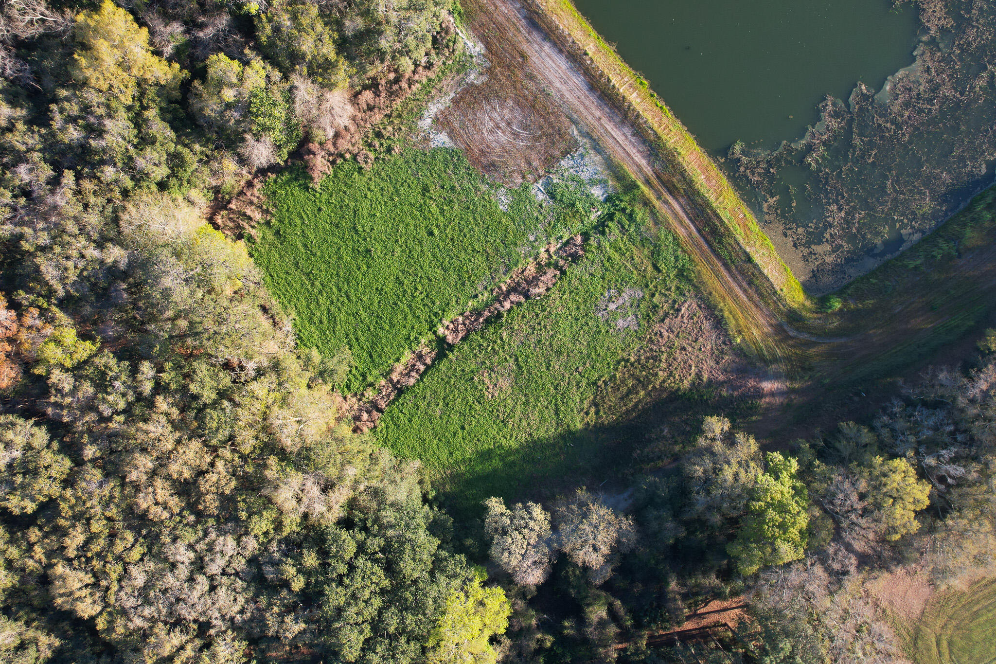 3170 Contentment Hall Road Johns Island, SC 29455 - Photo 32 of 34 DJI_0147