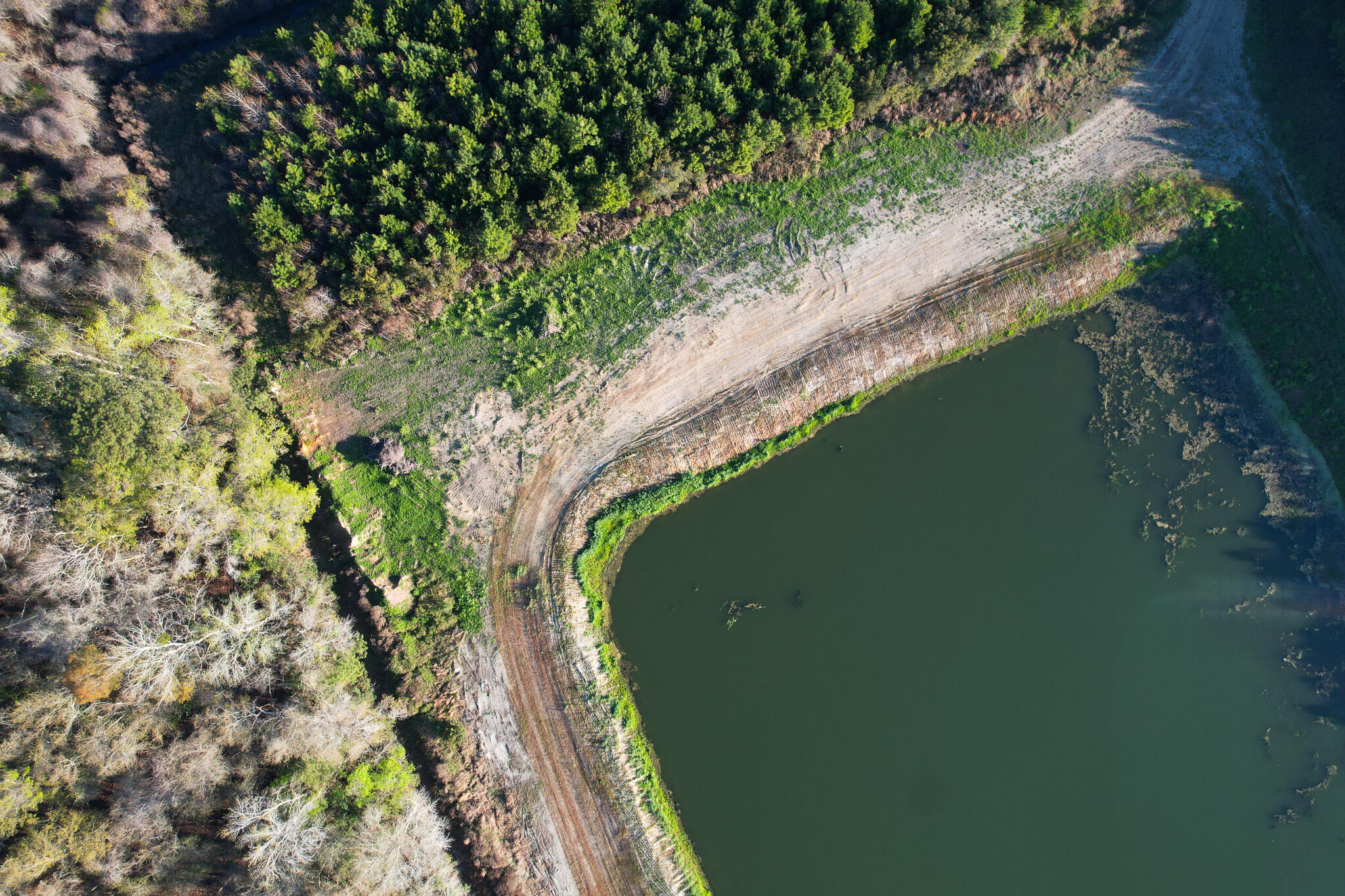 3170 Contentment Hall Road Johns Island, SC 29455 - Photo 33 of 34 DJI_0148