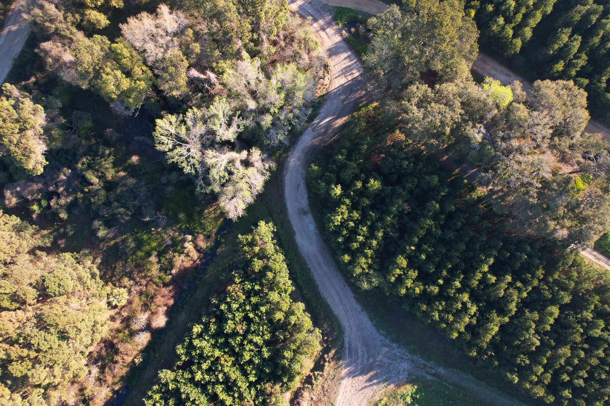 3170 Contentment Hall Road Johns Island, SC 29455 - Photo 34 of 34 DJI_0150