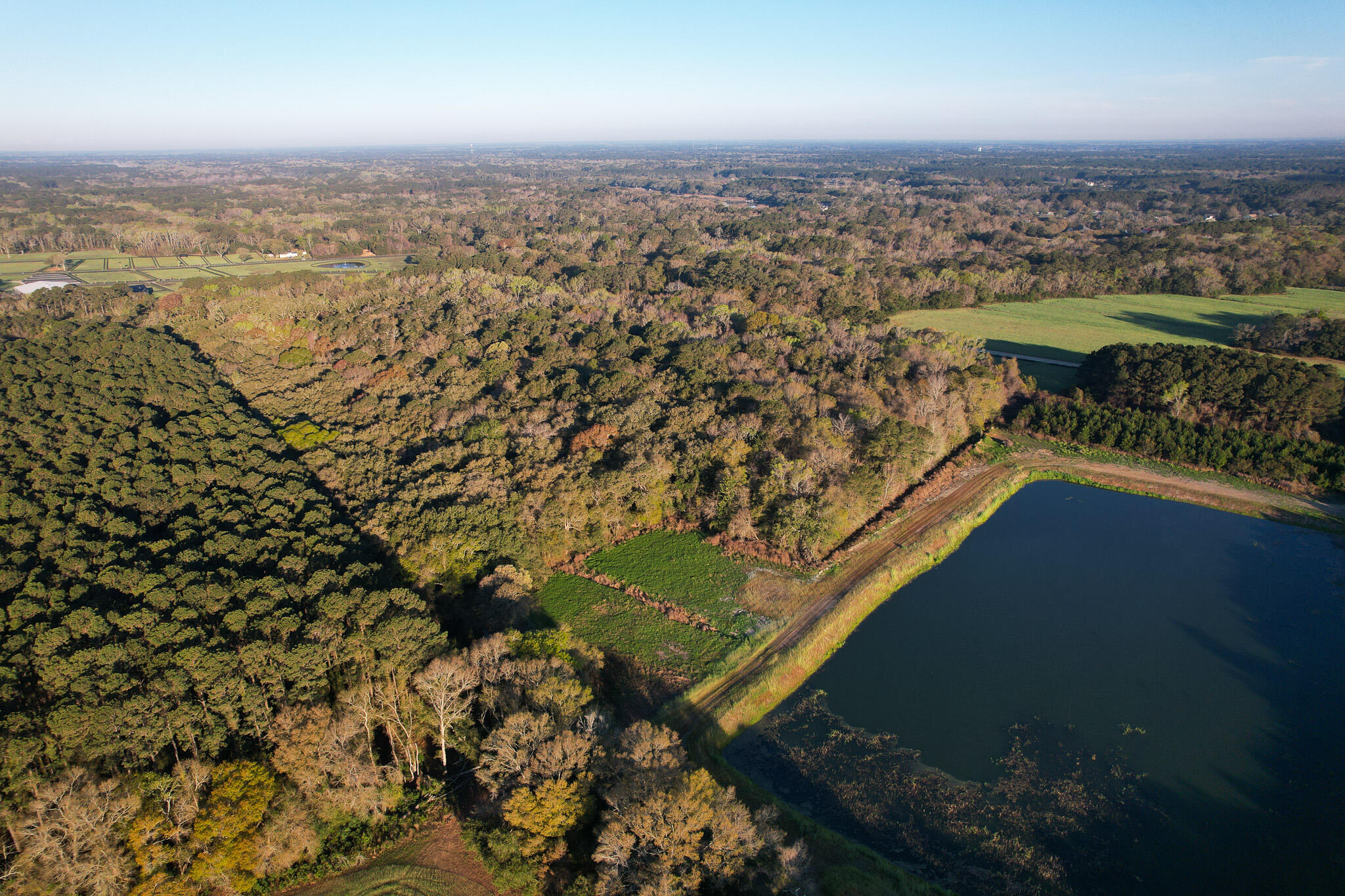 3170 Contentment Hall Road Johns Island, SC 29455 - Photo 4 of 34 DJI_0113