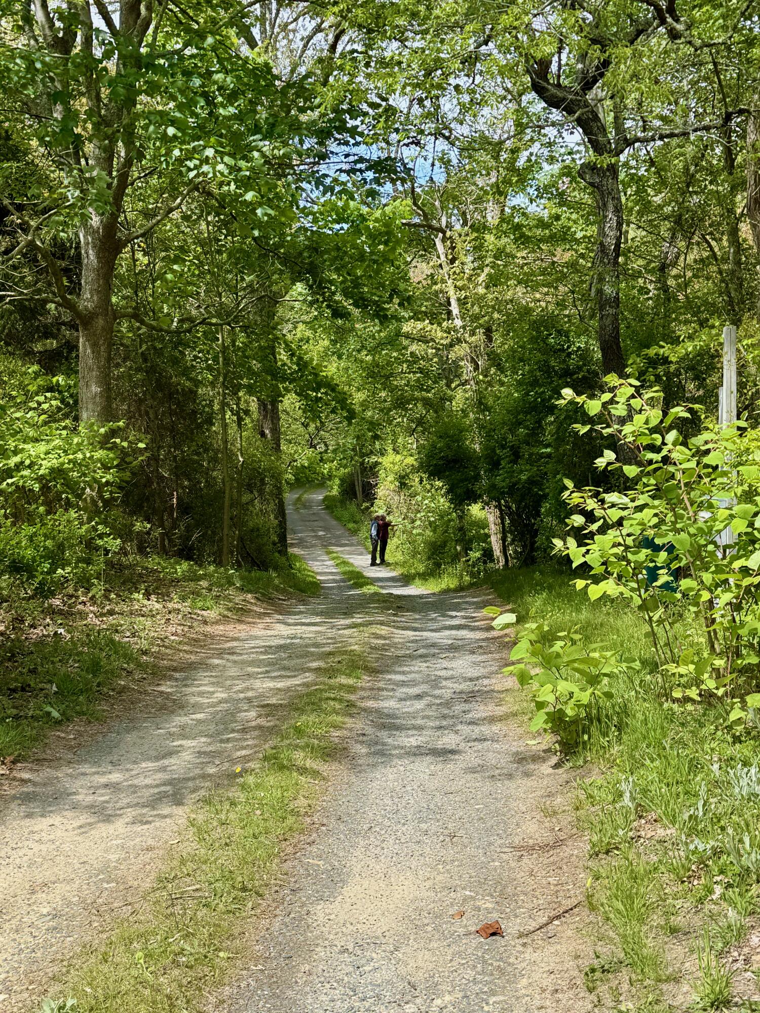31 Monument Road Orleans, MA 02653 - Photo 1 of 10 IMG_1032