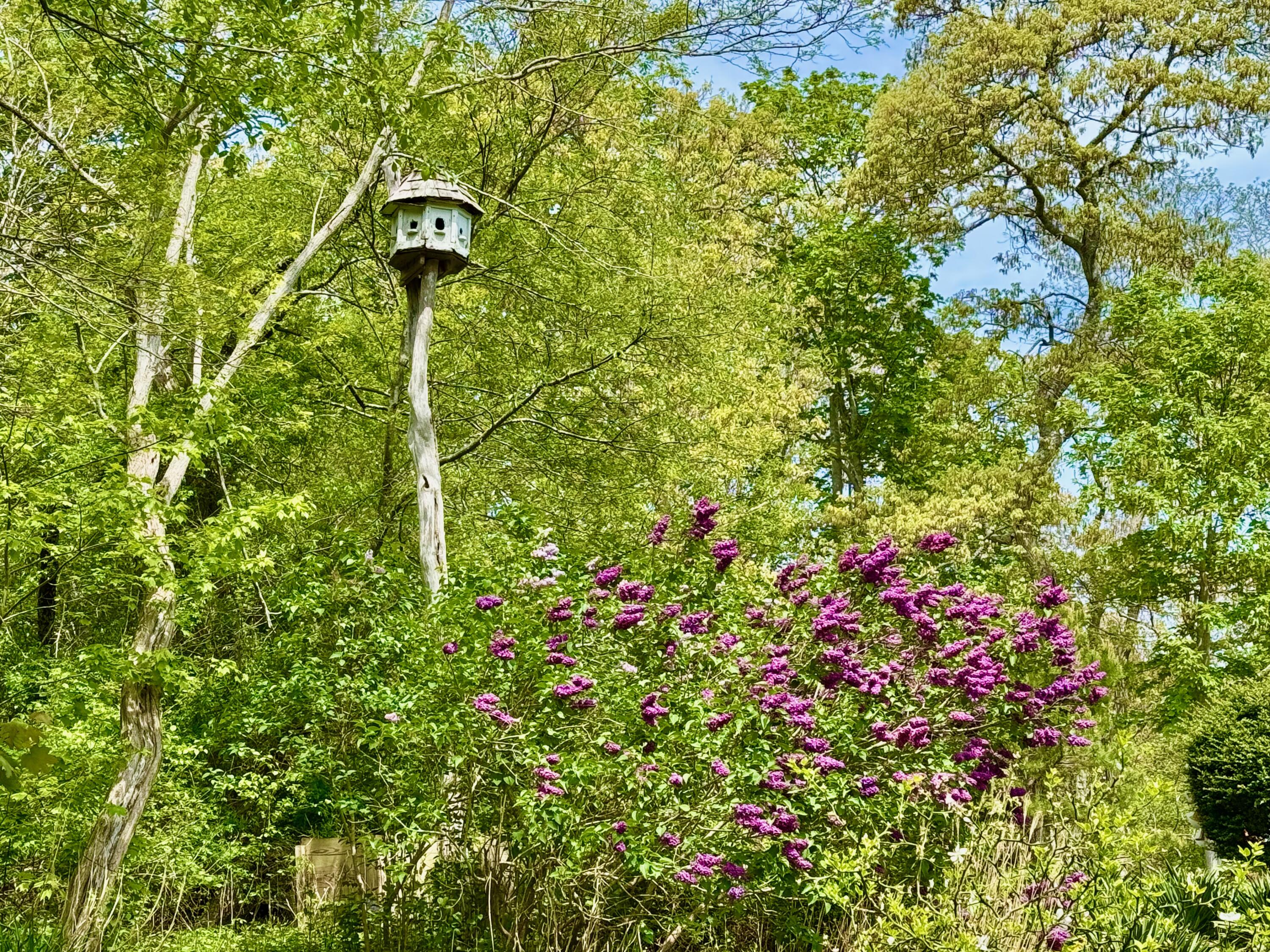 31 Monument Road Orleans, MA 02653 - Photo 8 of 10 IMG_1031