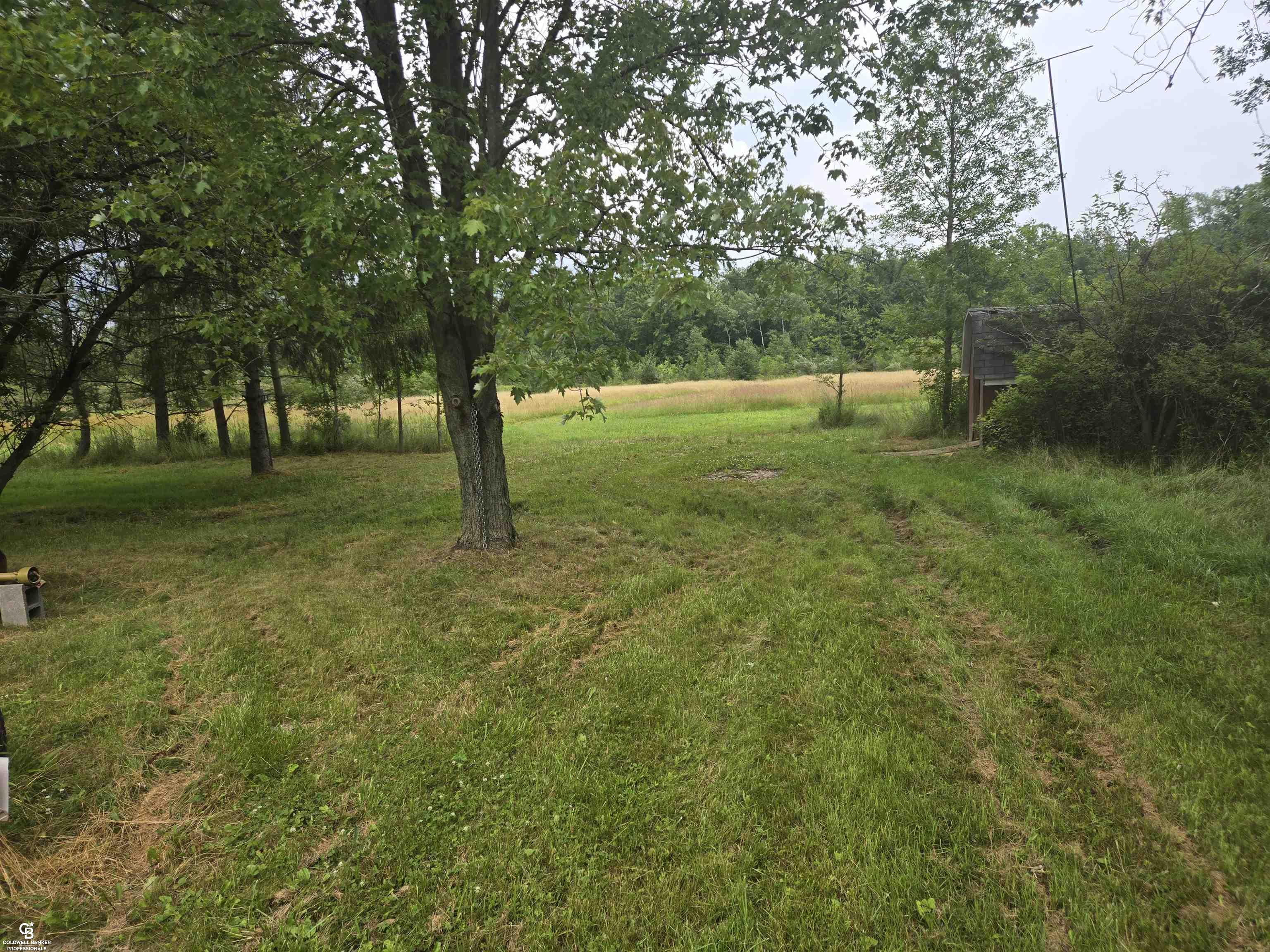 0 Duce Road Avoca, MI 48006 - Photo 6 of 10
