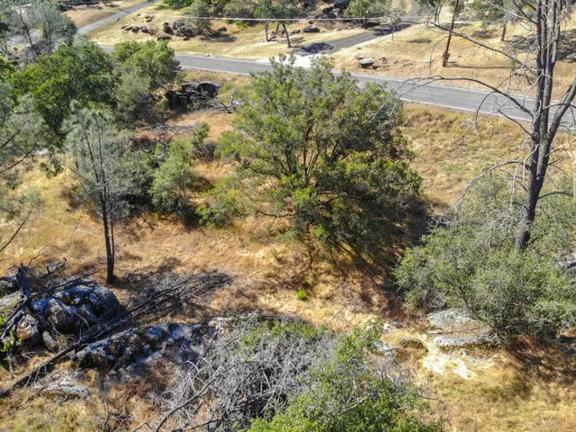 a view of a yard with trees