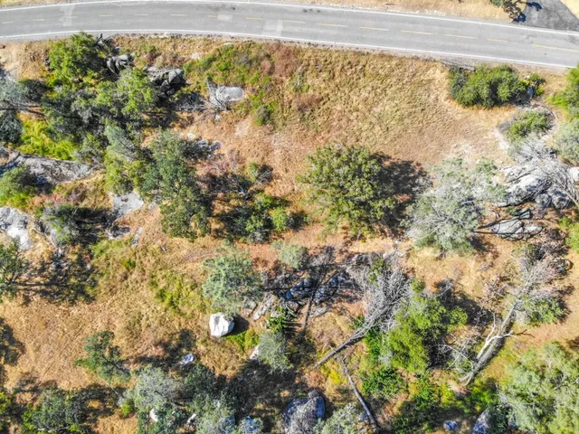 a view of a yard with a tree