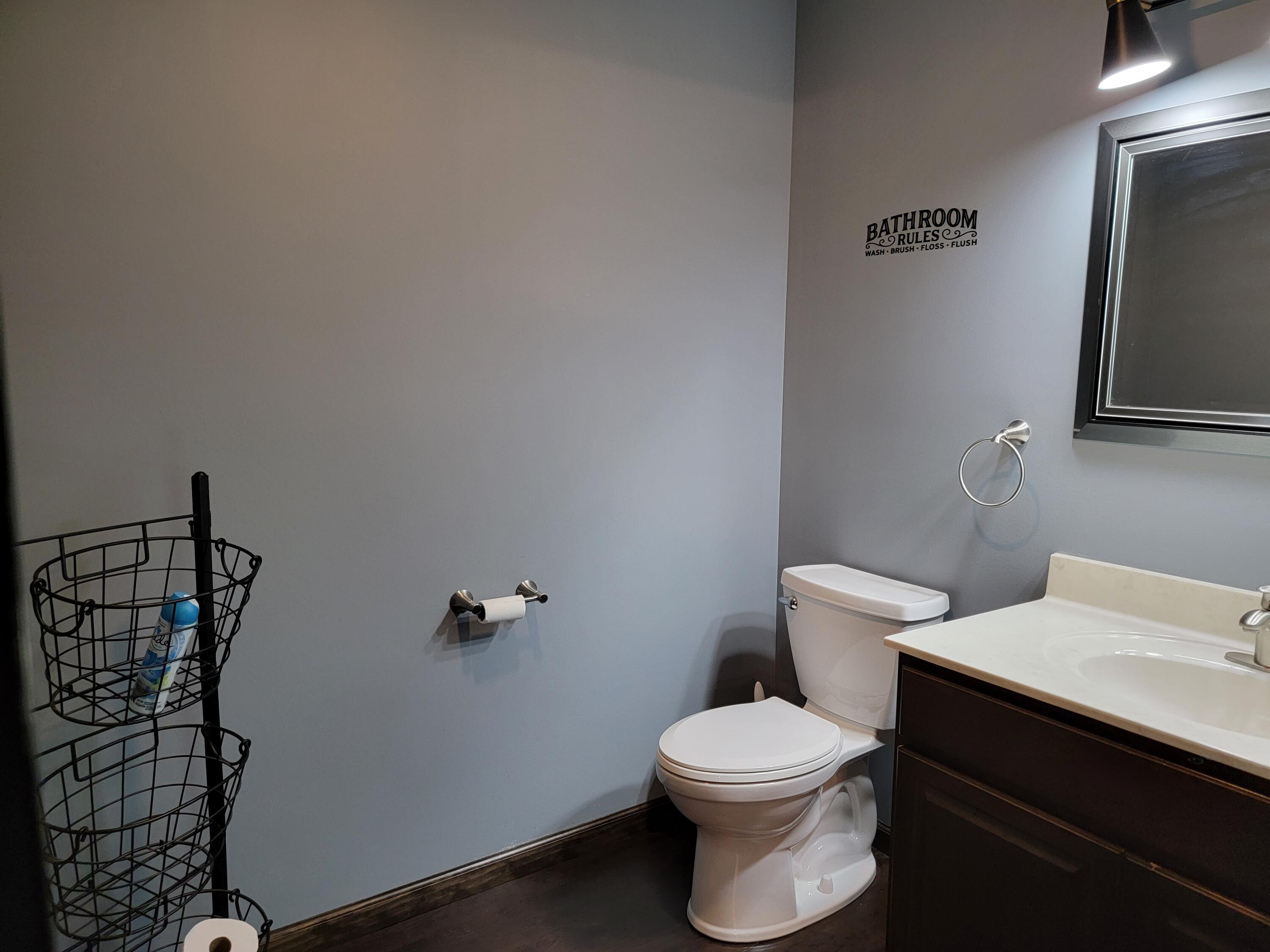 1207 Wicker Road Southeast Stanton, MI 48888 - Photo 17 of 28 20230822_132655