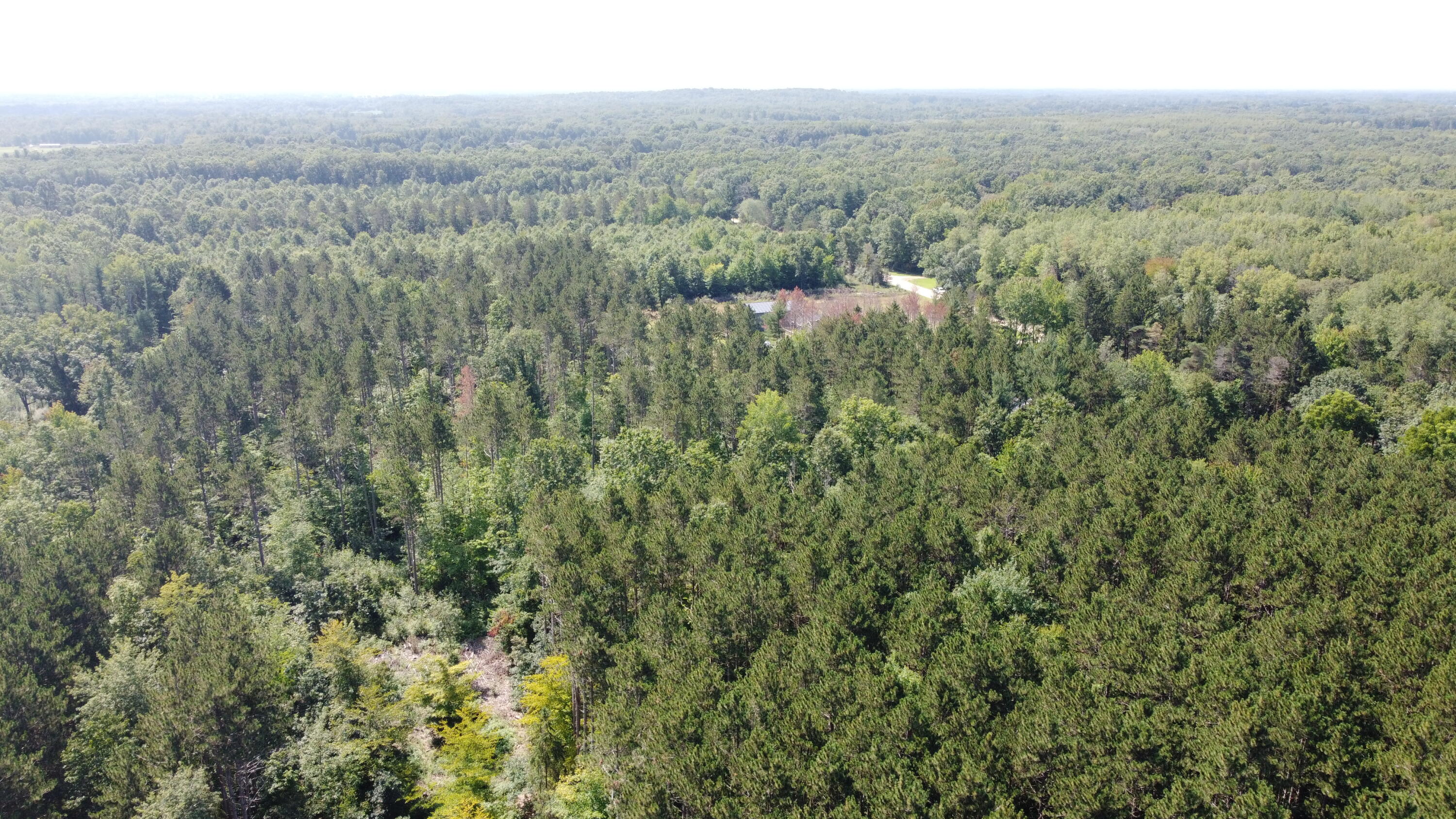 1207 Wicker Road Southeast Stanton, MI 48888 - Photo 26 of 28 DJI_0786