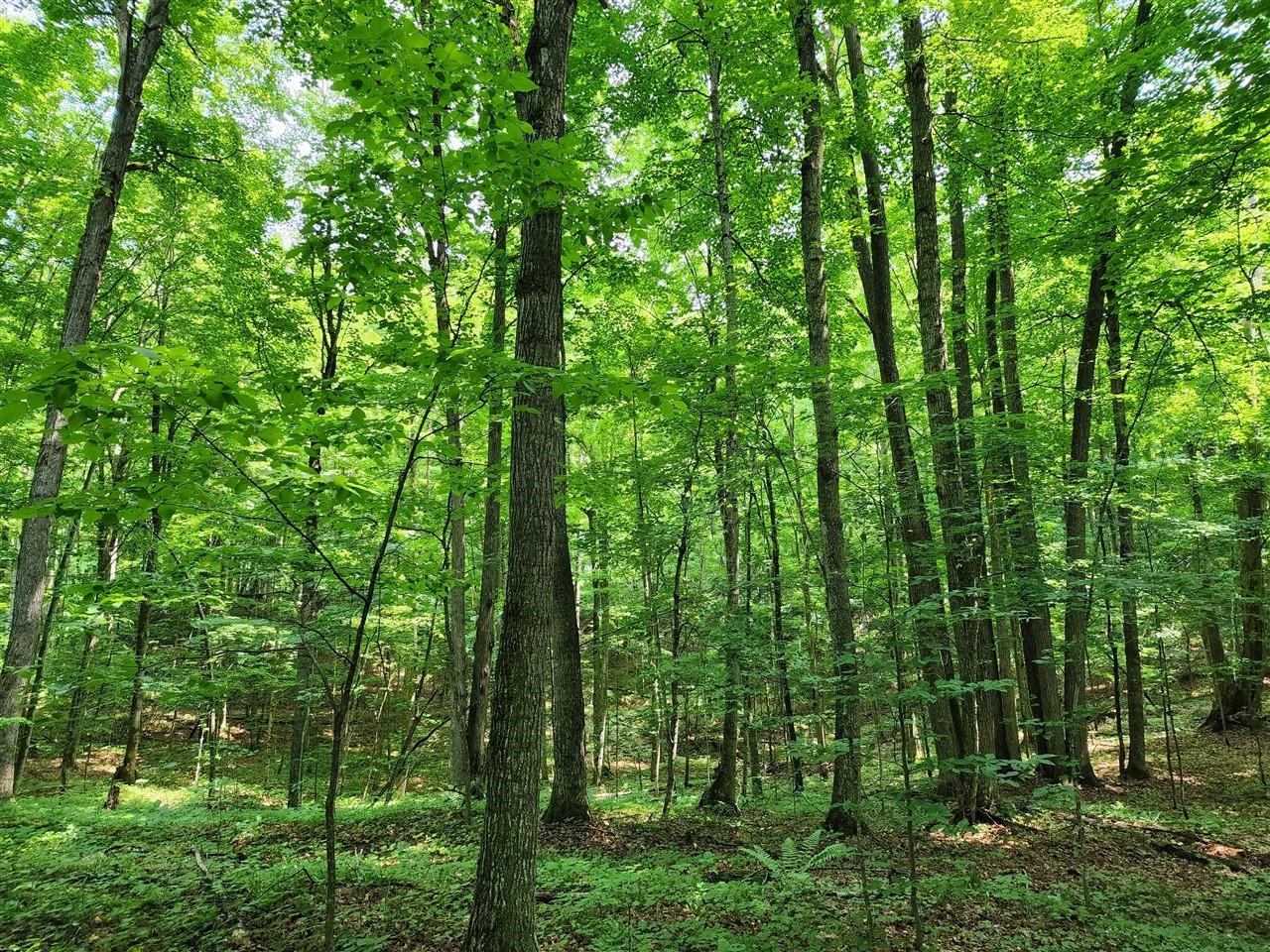 32 Goshawk Ridge Traverse City, MI 49684 - Photo 3 of 20