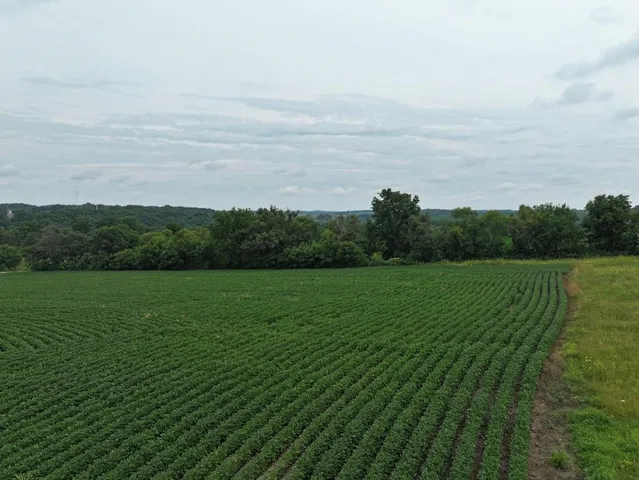 $89,500 | 6.3 M/l Acres State Highway 11, Gratiot, WI 53541