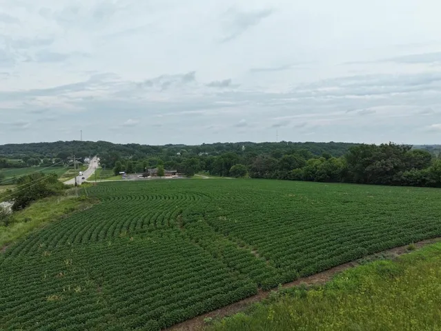 $89,500 | 6.3 M/l Acres State Highway 11, Gratiot, WI 53541