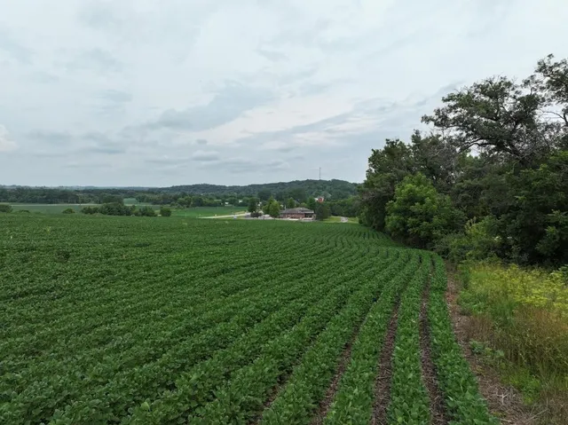 $89,500 | 6.3 M/l Acres State Highway 11, Gratiot, WI 53541