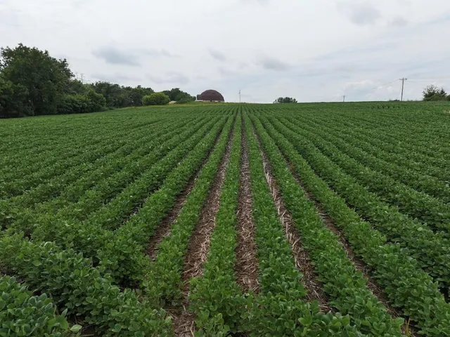 $89,500 | 6.3 M/l Acres State Highway 11, Gratiot, WI 53541