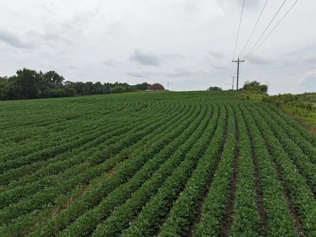 $89,500 | 6.3 M/l Acres State Highway 11, Gratiot, WI 53541