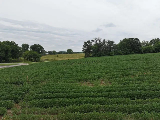 $89,500 | 6.3 M/l Acres State Highway 11, Gratiot, WI 53541