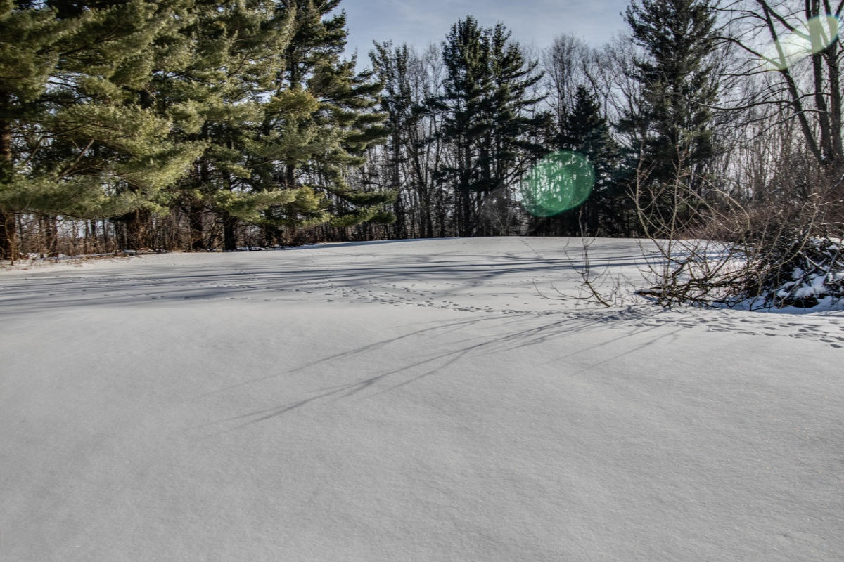 4408 Beckley Road Battle Creek, MI 49015 - Photo 15 of 18 005-MLS
