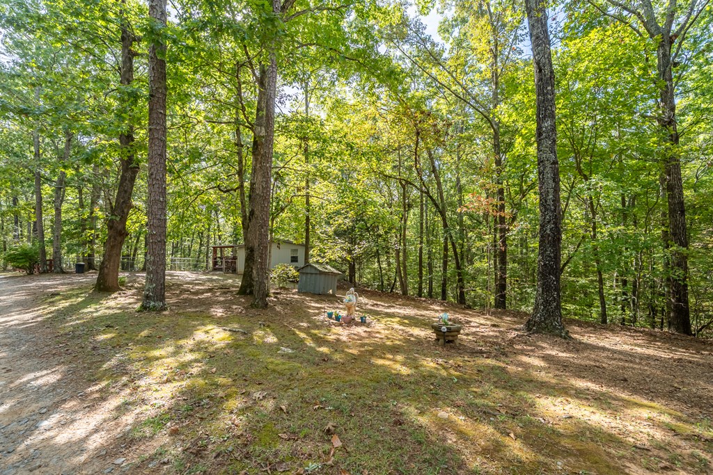 586 Log Round Mountain Road Talking Rock, GA 30175 - Photo 29 of 39 Gallery Image 29