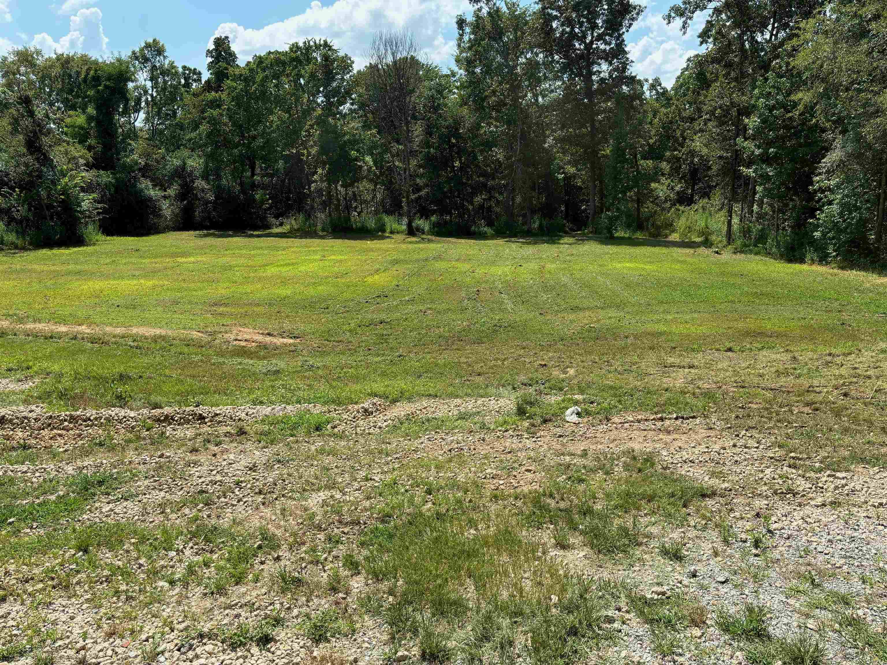 560 Anderson Road Moscow, TN 38057 - Photo 1 of 6 View of nature