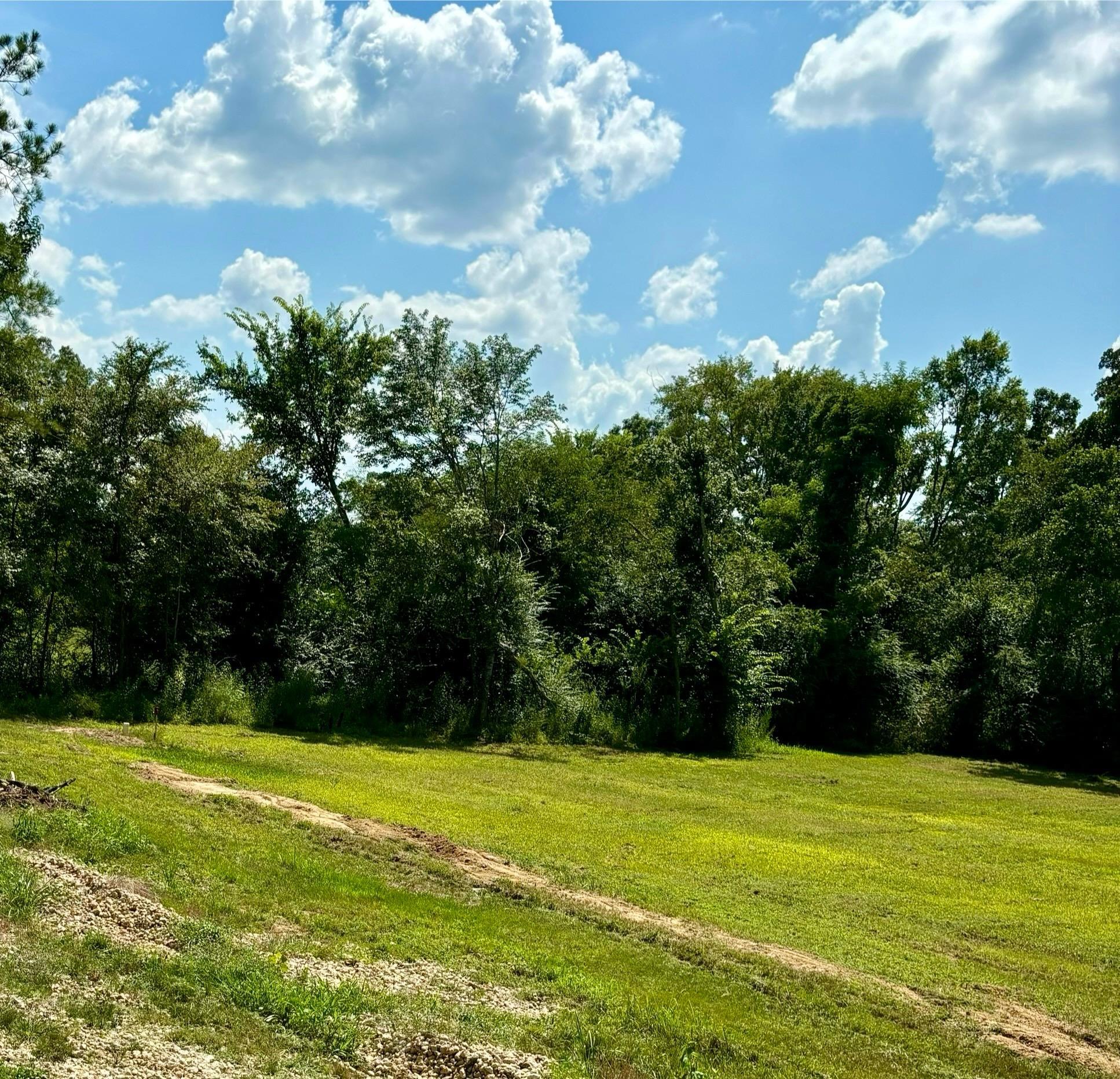 560 Anderson Road Moscow, TN 38057 - Photo 3 of 6 Gallery Image 3