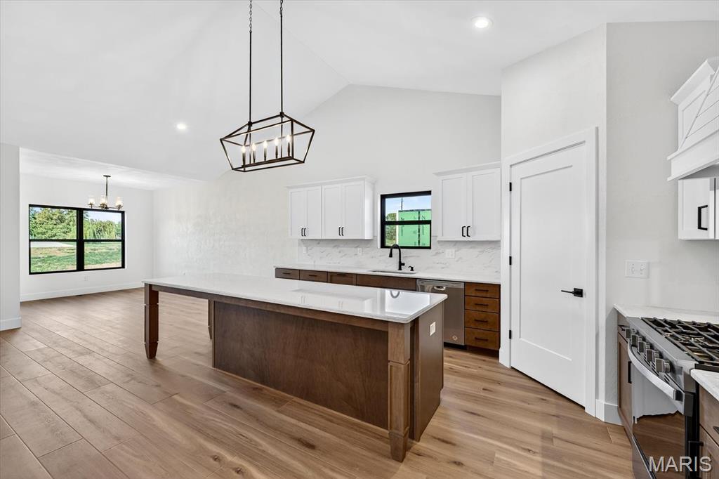 609 Tea Olive Boulevard O'Fallon, IL 62269 - Photo 13 of 45