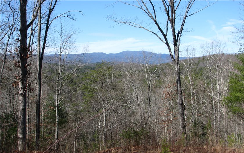 11 Plantation Lane Blue Ridge, GA 30513 - Photo 1 of 1 a view of a forest with a tree