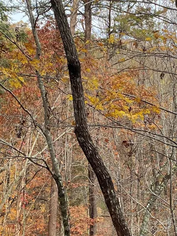 a backyard of a house