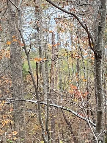 a view of a lake with a mountain