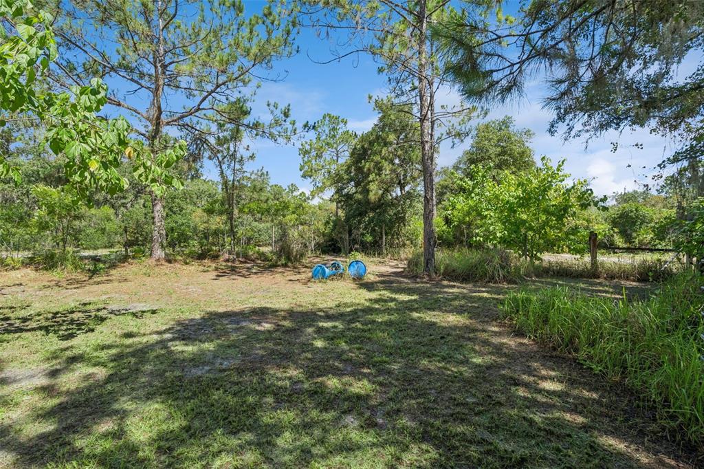 5500 Ventura Acres Road Groveland, FL 34736 - Photo 27 of 39