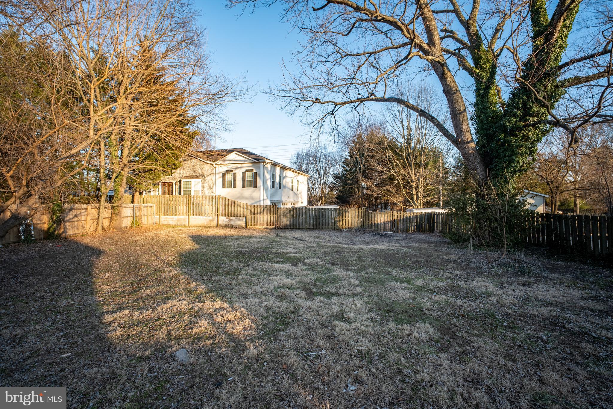497 Bruce Avenue Odenton, MD 21113 - Photo 31 of 38 a view of a large trees with a big yard