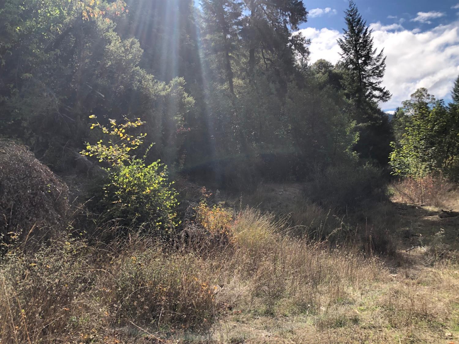 100 Forest Creek Road Selma, OR 97538 - Photo 11 of 14 Additional Photo