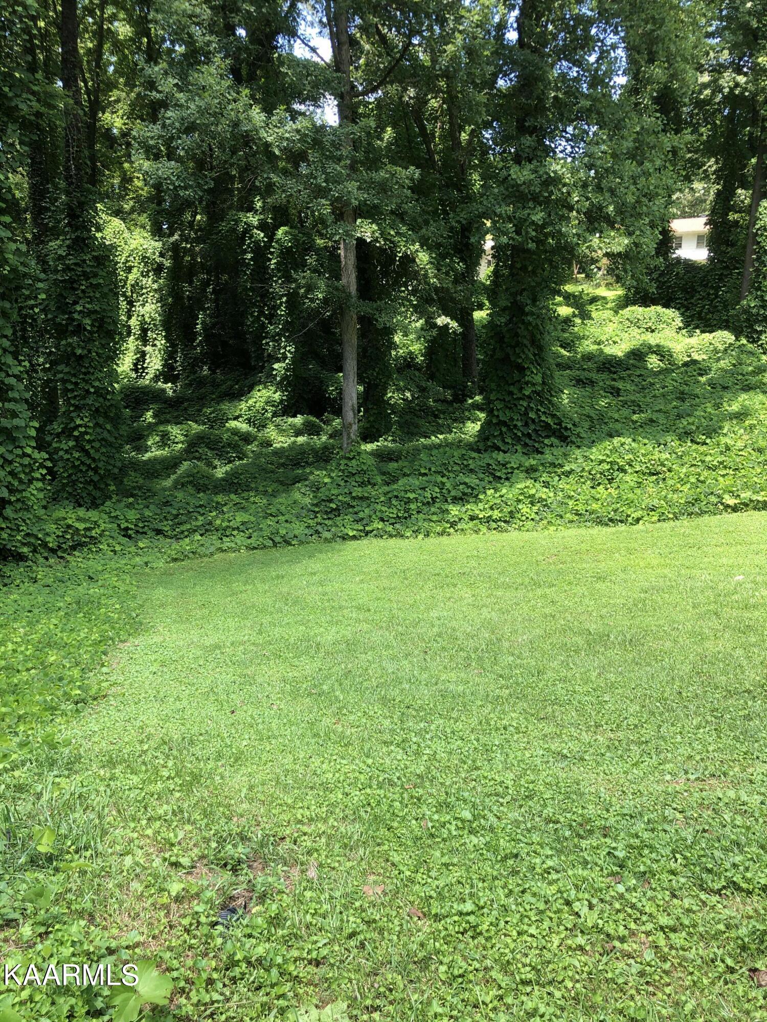 116 Wakeman Lane Oak Ridge, TN 37830 - Photo 21 of 22 25344_Image_21