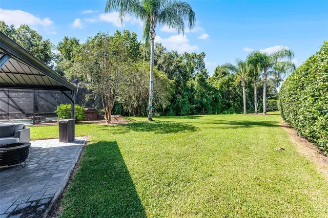 a view of a house with yard and a tree